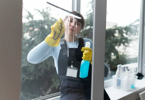 Nettoyage de vitres intérieures et extérieures à Lacollonge